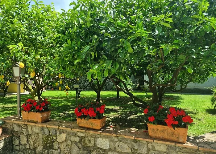 Bed and Breakfast Il Ruscello Maratea